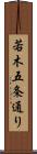 若木五条通り Scroll