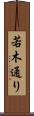 若木通り Scroll