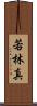 若林真 Scroll