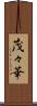 茂々華 Scroll