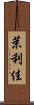 茉利佳 Scroll