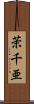 茉千亜 Scroll