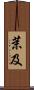 茉及 Scroll