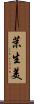 茉生美 Scroll