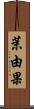 茉由果 Scroll