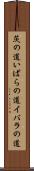 茨の道 Scroll
