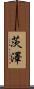 茨澤 Scroll