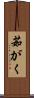茹がく Scroll