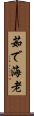 茹で海老 Scroll