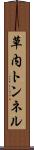 草内トンネル Scroll
