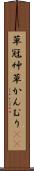 草冠 Scroll