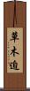 草木迫 Scroll
