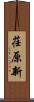 荏原新 Scroll