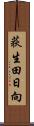 荻生田日向 Scroll