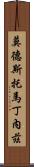 Modesto Martinez Scroll
