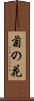 菊の花 Scroll