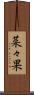 菜々果 Scroll
