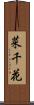 菜千花 Scroll