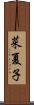 菜夏子 Scroll