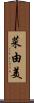 菜由美 Scroll