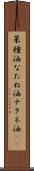 菜種油 Scroll