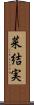 菜結実 Scroll