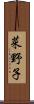 菜野子 Scroll
