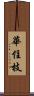 華住枝 Scroll