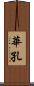 華孔 Scroll