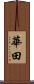 華田 Scroll