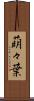 萌々葉 Scroll