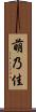 萌乃佳 Scroll
