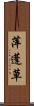 萍蓬草 Scroll