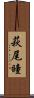 萩尾瞳 Scroll