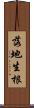 落地生根 Scroll