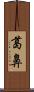 葛鼻 Scroll