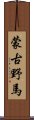 蒙古野馬 Scroll