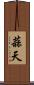 蒜天 Scroll
