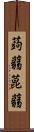 蒟蒻 Scroll