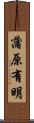 蒲原有明 Scroll