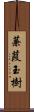 蒹葭玉樹 Scroll