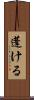 蓬ける Scroll