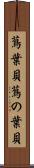 蔦葉貝 Scroll