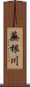 蕪根川 Scroll