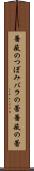 薔薇のつぼみ Scroll