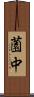 薗中 Scroll