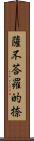 薩不荅羅的捺 Scroll