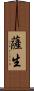 薩生 Scroll