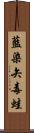 藍染矢毒蛙 Scroll