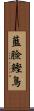 藍臉鰹鳥 Scroll